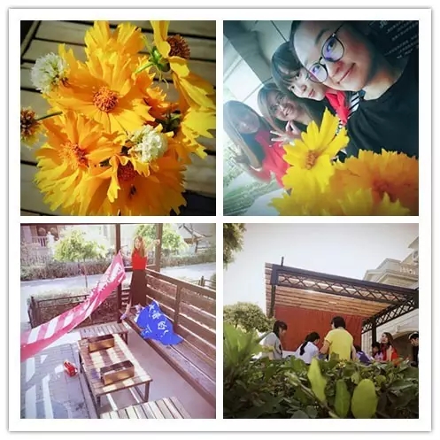 網(wǎng)勢(shì)科技6周歲生日快樂(lè)！