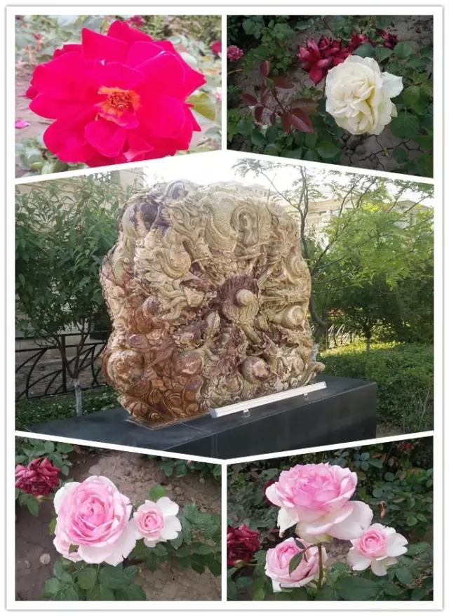 網(wǎng)勢(shì)科技6周歲生日快樂(lè)！